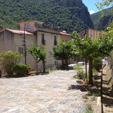 Pied A Terre Daire Amélie-les-Bains-Palalda Dış mekan fotoğraf